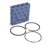 KOLBENSCHMIDT 800049910000 Kit fasce elastiche