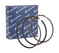 KOLBENSCHMIDT Kit fasce elastiche per 800051610000