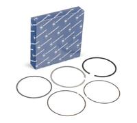 KOLBENSCHMIDT 800055010000 Kit fasce elastiche