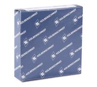 KOLBENSCHMIDT 800073010000 Kit fasce elastiche