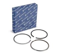 KOLBENSCHMIDT 800073910025 Kit fasce elastiche