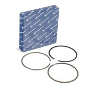 KOLBENSCHMIDT 800110410025 Kit fasce elastiche