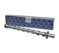 Kolbenschmidt Albero a Camme Peugeot Citroën Fiat 2,0 0801AE RHK (DW10UTED4) Rhr