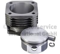 KOLBENSCHMIDT Kit riparazione Pistone/Canna cilindro 4421310107 5411300008
