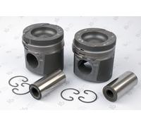 KOLBENSCHMIDT Pistone MAN NEOPLAN 12,8 51.02511-7279 51.02511-7282 D2876LF02