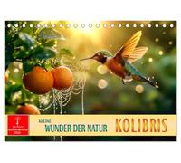 Kolibris - kleine Wunder der Natur (Tischkalender 2026 DIN A5 quer), CALVENDO Monatskalender: Fliegende schillernde Juwelen mit genialer Flugfähigkeit.