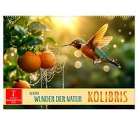 Kolibris - kleine Wunder der Natur (Wandkalender 2026 DIN A2 quer), CALVENDO Monatskalender: Fliegende schillernde Juwelen mit genialer Flugfähigkeit.