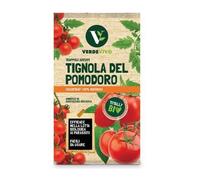 TRAPPOLA ADESIVA CON FEROMONI PER TIGNOLA DEL POMODORO CF.3 PZ TEMOCID VERDEVIVO