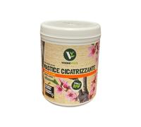 Kollant VerdeVivo Mastice Cicatrizzante 500 Grammi