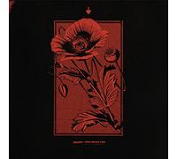 Kollaps - Until The Day I Die