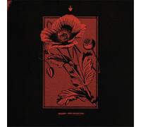 Kollaps Until the Day I Die (CD) Album Digipak