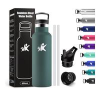 KollyKolla Borraccia Termica Bambini 500ml, Borraccia con Cannuccia, senza BPA, Isolamento Termico a Doppia Parete, Facile Pulizia, a Prova di Perdite, per Bambini, Sport, Palestra, Yoga, Ufficio