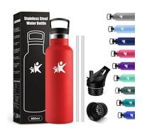 KollyKolla Bottiglia Termica Bambini 500ml, Borraccia con Cannuccia, a Prova di Perdite, senza BPA, Borraccia Termica a Doppia Parete, Facile Pulizia, per Bambini, Sport, Palestra, Viaggio, Gym