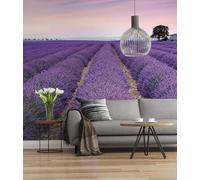 Komar 036-Dv3 Photomural, Viola