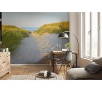 komar 8 - 995 foto carta da parati in carta''Sandy Path, dimensione: 368 x 254 cm (larghezza x altezza), 8 pezzi, compreso il materiale per, made in Germany, bunt