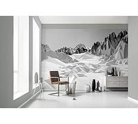 Komar Carta da parati fotografica di alta qualità Icefields, dimensioni 368 x 254 cm (larghezza x altezza), 8 pezzi, con colla inclusa, Made in Germany, nero, bianco, 8-208