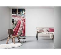 Komar Carta da parati fotografica in tessuto non tessuto, 100 x 250 cm (larghezza x altezza), carta da parati, camera da letto, soggiorno, corridoio, design, decorazione da parete,