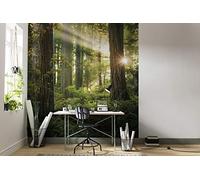 Komar - Carta da parati fotografica in tessuto non tessuto Goblins Woods | Carta da parati XXL, decorativa, dimensioni: 250 x 280 cm (larghezza x altezza), SHX5-037, multicolore