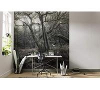 Komar Carta da parati fotografica in tessuto non tessuto, modello "DAS Mod", XXL, decorazione, natura, paesaggio, camera da letto, soggiorno, ufficio, corridoio, dimensioni: 250 x 280 cm (larghezza x altezza), SHX5-018, multicolore
