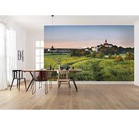 Komar Carta da parati fotografica in tessuto non tessuto, XXL, decorazione, natura, paesaggio, camera da letto, soggiorno, ufficio, corridoio, dimensioni: 450 x 280 cm (larghezza x altezza), SHX9-044, multicolore
