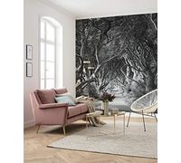 Komar Carta da parati in tessuto non tessuto Forevenue, XXL, decorazione, natura, paesaggio, camera da letto, soggiorno, ufficio, corridoio, dimensioni: 250 x 280 cm (larghezza x altezza), SHX5-033