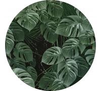 Komar D1-023 Dot, carta da parati autoadesiva e rotonda, in tessuto non tessuto, verde