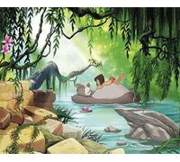 Da Ragazza Camera Disney Personaggi Carta Parati Fotografica Principessa Verde