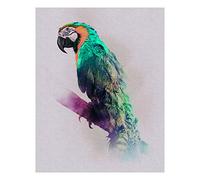 Komar P083B-40x50 - Poster da parete con immagine di paradisi Paradise Parrot | P083B-40x50 | Dimensioni: 40 x 50 cm (larghezza x altezza)