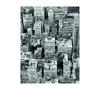 Komar - Poster da Parete con Immagine di Roof, Disponibile in 3 Misure, Nero, Bianco, Grigio, P125-40x50