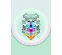 Komar - Quadro da Parete Baboon, per Soggiorno, Camera da Letto, Decorazione, Stampa Artistica Senza Cornice, Disponibile in 3 Misure, Multicolore, P089-50x70