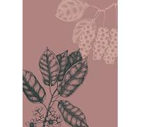 Komar Quadro da parete con bacche selvatiche, dimensioni: 30 x 40 cm, stampa artistica, decorazione per soggiorno, camera da letto