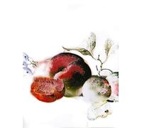 Komar Quadro da parete "Dessert Fruité - Dimensioni: 30 x 40 cm - Poster stampa artistica, decorazione soggiorno, camera da letto