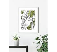 Komar Quadro da parete - Foglie sbiancate - Dimensioni: 50 x 70 cm - Poster artistico, decorazione per soggiorno, camera da letto (senza cornice)