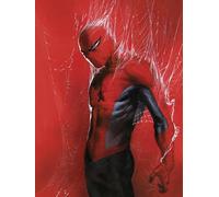 Komar Quadro da parete Marvel Spider-Man Through the Spider Web, dimensioni 30 x 40 cm, decorazione da parete per cameretta dei bambini