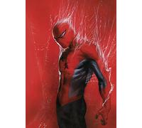 Komar Quadro da parete Marvel Spider-Man Through the Spider Web, dimensioni 50 x 70 cm, decorazione da parete per cameretta dei bambini