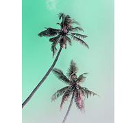 Komar - Quadro da Parete Miami Palms, Disponibile in 3 Misure, Braun, Blau, Rosa, P115-30x40