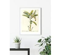 Komar Quadro da parete Rainforest Sapling - Dimensioni: 50 x 70 cm - Poster artistico, decorazione per soggiorno, camera da letto (senza cornice)