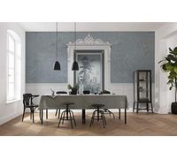 Komar R5-059 - Carta da parati fotografica in tessuto non tessuto, dimensioni: 500 x 280 cm (larghezza x altezza), per soggiorno, camera da letto, ufficio, corridoio, decorazione da parete