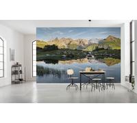 Komar SHX9-002 - Carta da parati fotografica in tessuto non tessuto con specchio, decorazione XXL, per camera da letto, soggiorno, ufficio, corridoio, 450 x 280 cm, multicolore