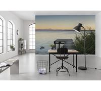 Komar SHX9-067 - Carta da parati in tessuto non tessuto, misura XXL, decorazione, natura, paesaggio, camera da letto, soggiorno, ufficio, corridoio, dimensioni 450 x 280 cm (L x A), multicolore