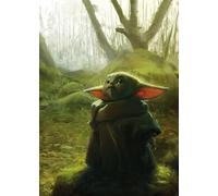 Komar Star Wars IADX4-018 - Carta da parati fotografica in tessuto non tessuto, motivo: Mandalorian Grogu Acrylic, dimensioni: 200 x 280 cm (larghezza x altezza)