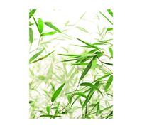 Komar Wandbild von Bamboo Leaves | Poster, Bild, Wohnzimmer, Schlafzimmer, Dekoration, Kunstdruck | ohne Rahmen | P060-40x50 Decorazione da Parete, Carta, Bianco, Verde, Marrone, 40 x 50 cm