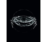 Komar Wandbild von Crab Black | Poster, Immagine, Wohnzimmer, Schlafzimmer, Dekoration, Kunstdruck | ohne Rahmen | P080D-40x50 Pittura murale, Polivinilcloruro (PVC), Nero, Bianco, 40 X 50 cm