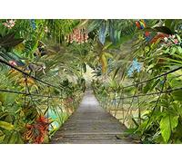 Giungla Carta da Parati Fotografica 368x254 CM Feature Palme Pioggia Bosco Ponte