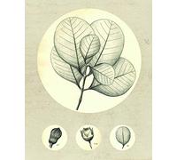 Komar WTD P053-40x50 - Poster da Parete con Foglie Trasparenti, 40 x 50 cm (Larghezza x Altezza)