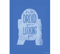 Komar WTD - Quadro da parete con sagoma di Star Wars R2D2, dimensioni: 30 x 40 cm (senza cornice)