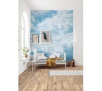 Komar X4-1026 - Tenda da parati in tessuto non tessuto, dimensioni: 200 x 250 cm, 4 pannelli, larghezza 50 cm, decorazione cielo stellato, nuvole, colore azzurro cielo, X4-1026