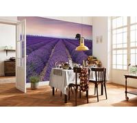 Komar X8-036 - Carta da parati in tessuto non tessuto, dimensioni: 400 x 260 cm (larghezza x altezza), 8 pannelli, larghezza 50 cm, colore lavanda