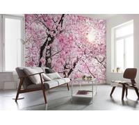 Komar X8-046 Fotomurale, Rosa/Marrone/Bianco, 400 x 260 cm (Breite x Höhe)