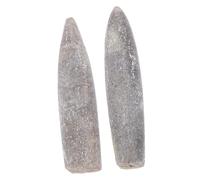 KOMBIUDA 2 Pezzi Specimen Naturale Belemnite per Studio e Decorazione Fossili Autentici in Minerale con Dettagli Antichi per Insegnamento Geologia e Arredamento Casa